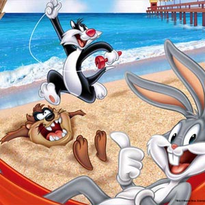 Looney Tunes Beach Google Home Skin